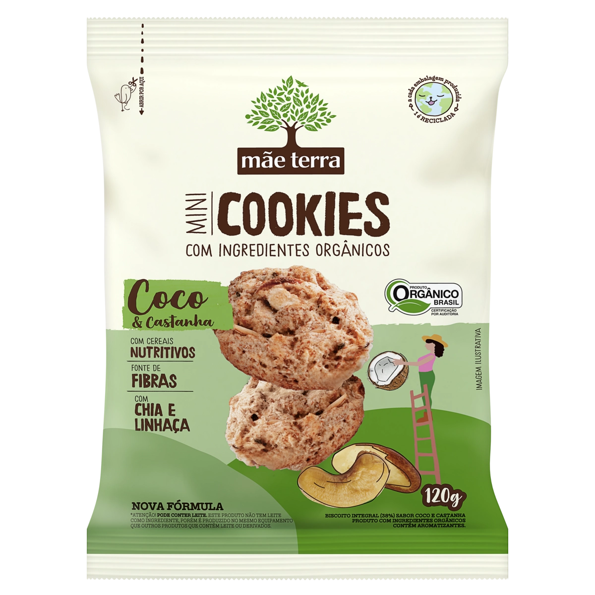 Biscoito Vegano Integral Orgânico Coco Castanha Mãe Terra Mini Cookies Pacote 120g