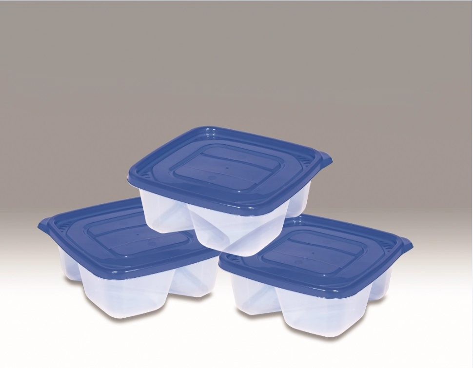 Conj Pote Sbern Quad Cd