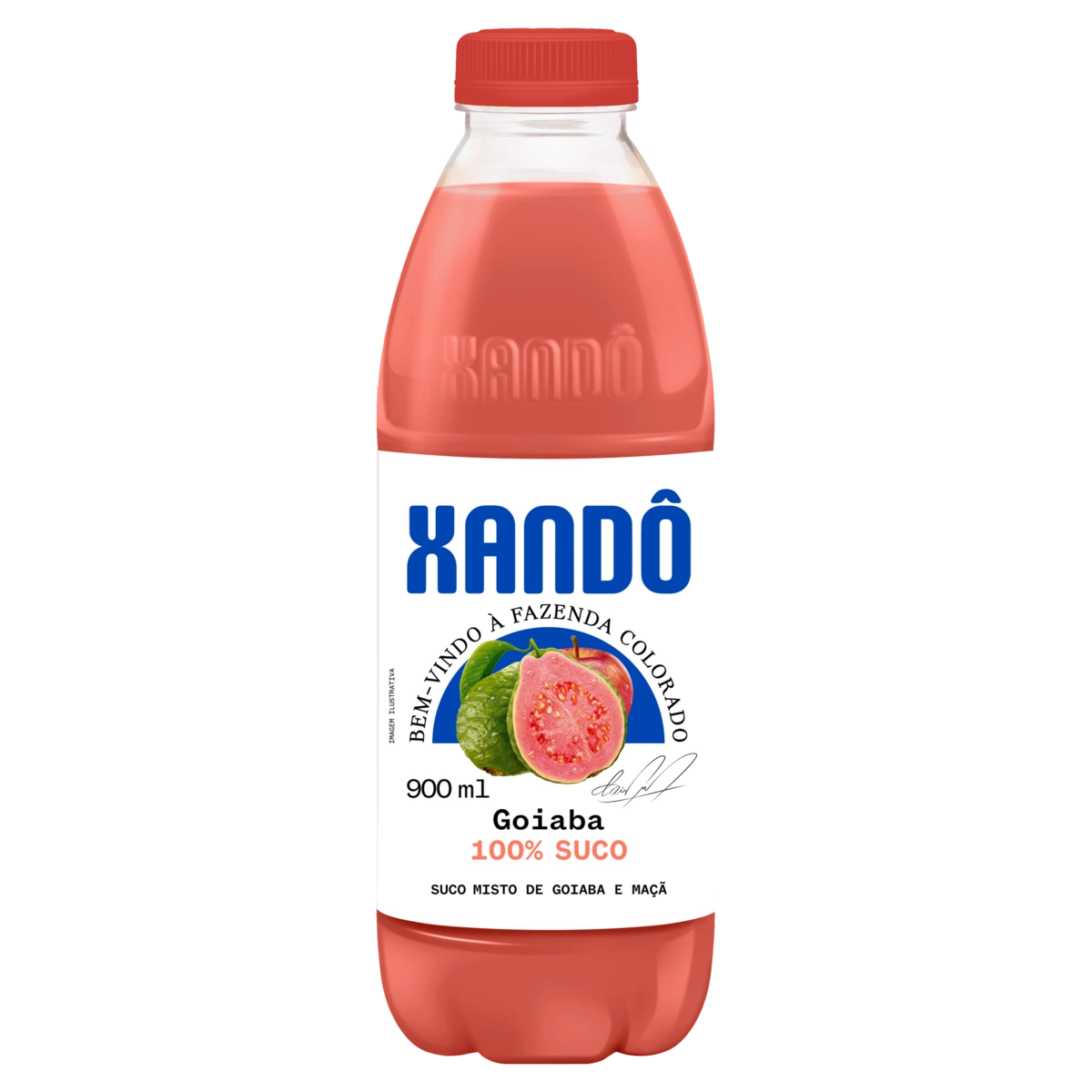 Suco Goiaba Xandô Garrafa 900ml