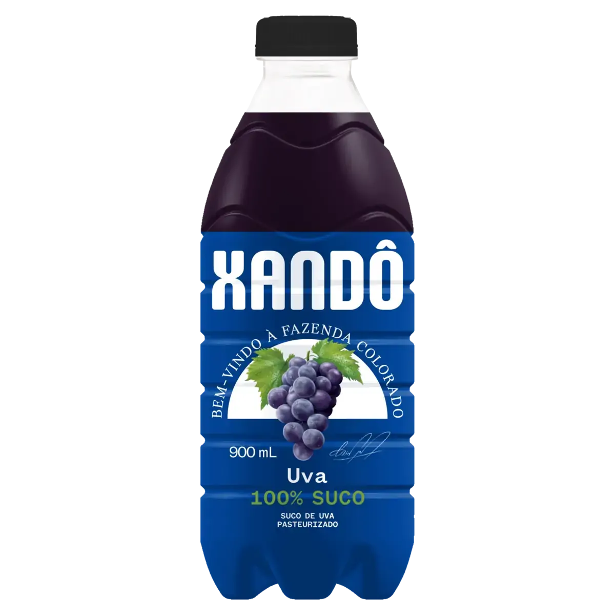 Suco Uva Xandô Não Refrigerado Garrafa 900ml