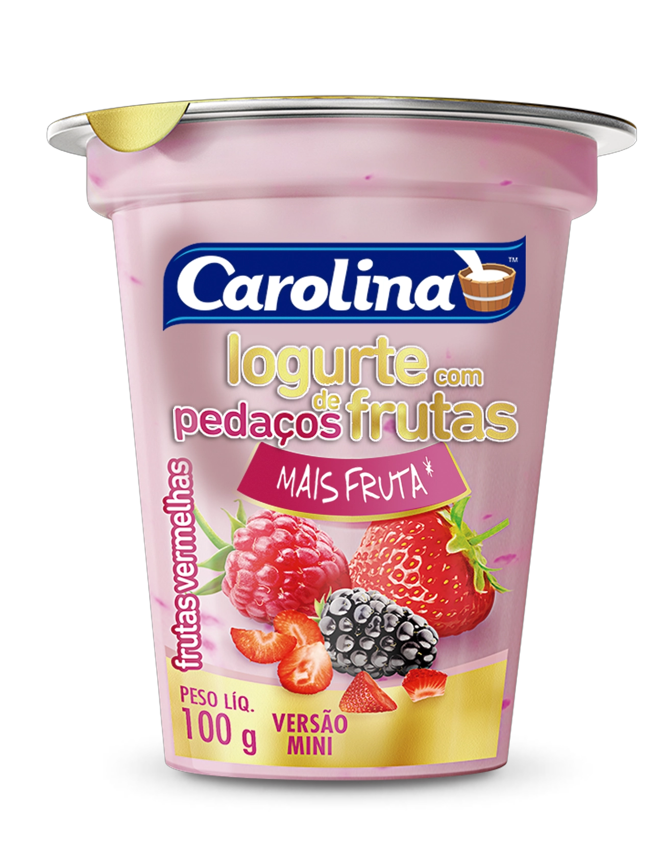Iog Carolina Pedacos Frutas Verm 100g