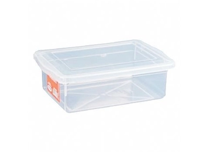 Caixa Organizadora Pleion 2,5lts