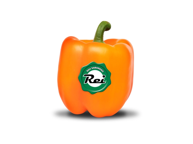 Pimentão Block Laranja Rei 250g