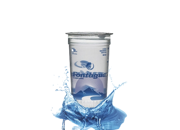 Agua Mineral Fontagua Cp 200ml