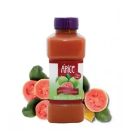 Suco Nectar De Goiaba 450ml Apice