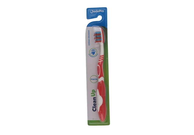 Escova Dental Macia Jadefrog