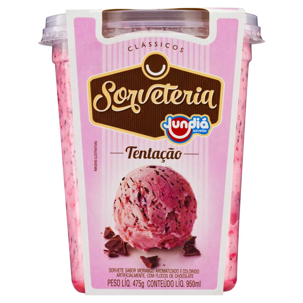 Sorvete Tentação Jundiá Clássicos Sorveteria Pote 950ml