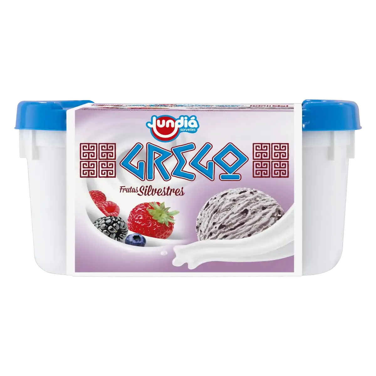 Sorvete Grego Cobertura Frutas Silvestres Jundiá Pote 1,5l