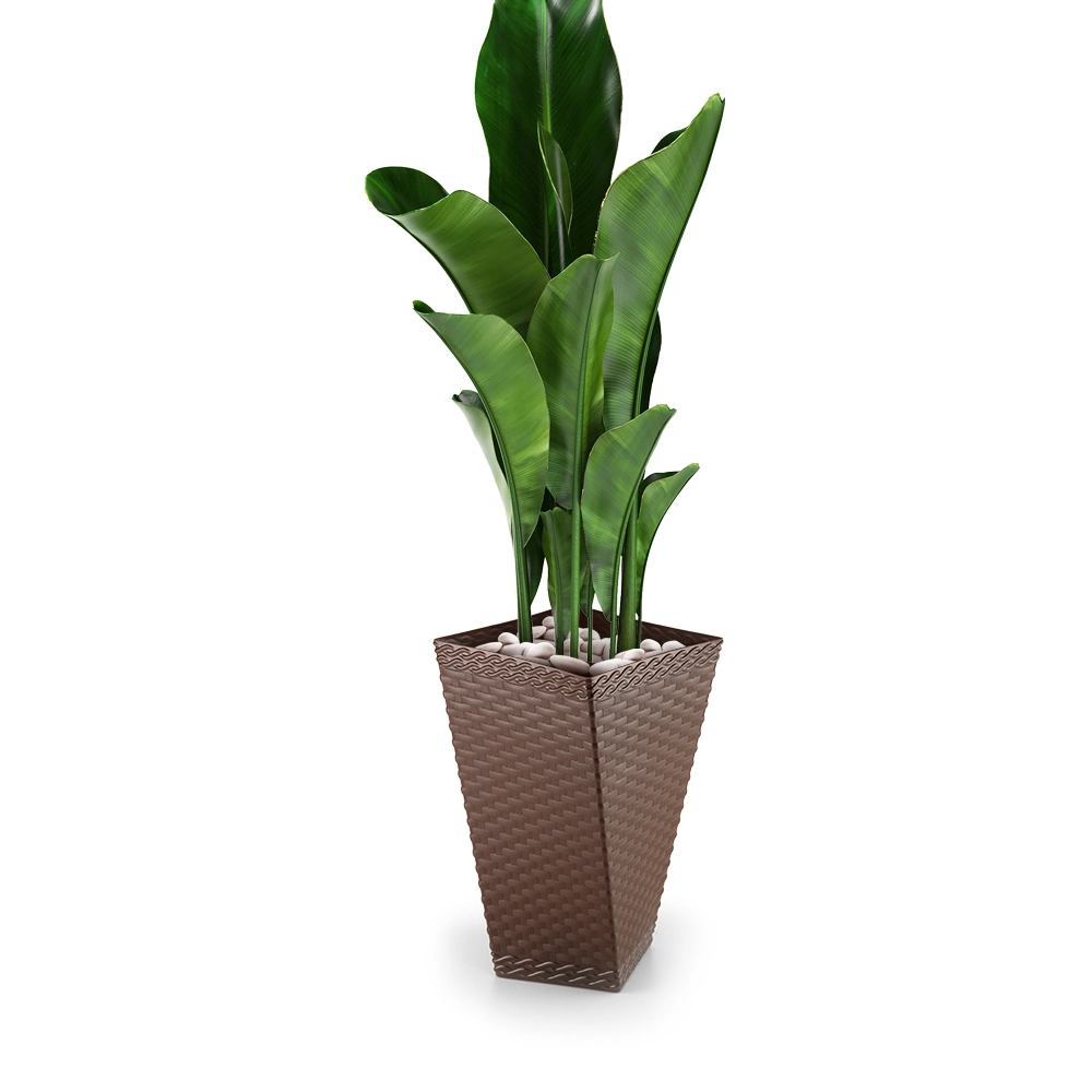 Vaso Twister Rattan Coffee Medio 20l 904 Injeplastec