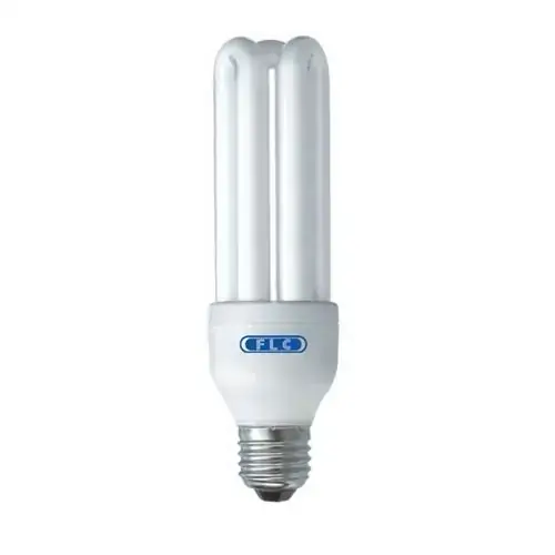 Lâmpada Elétrica Flc Fluorescente 15w 127v 3u