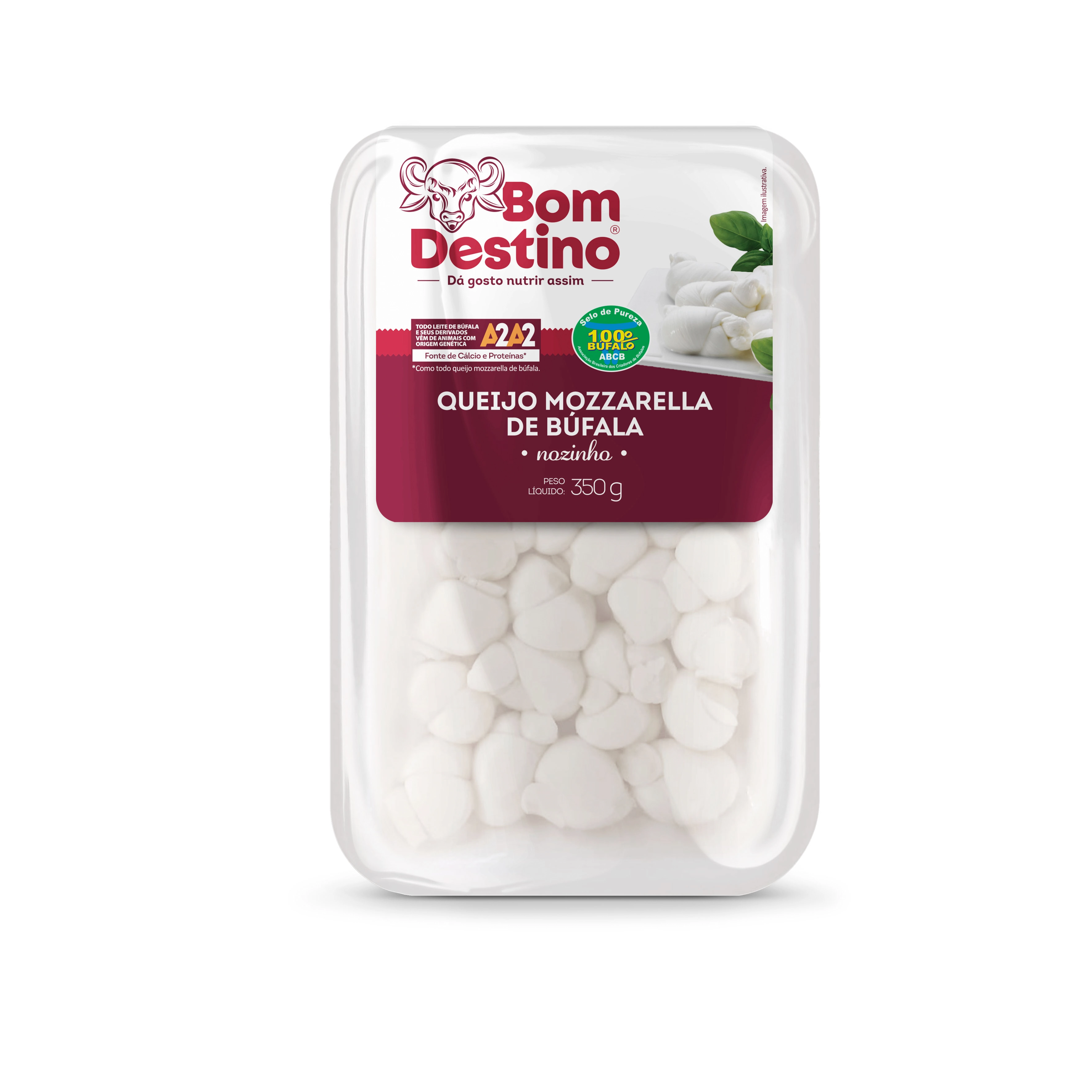 Queijo Mozzarella De Búfala Nozinho Bom Destino 350g