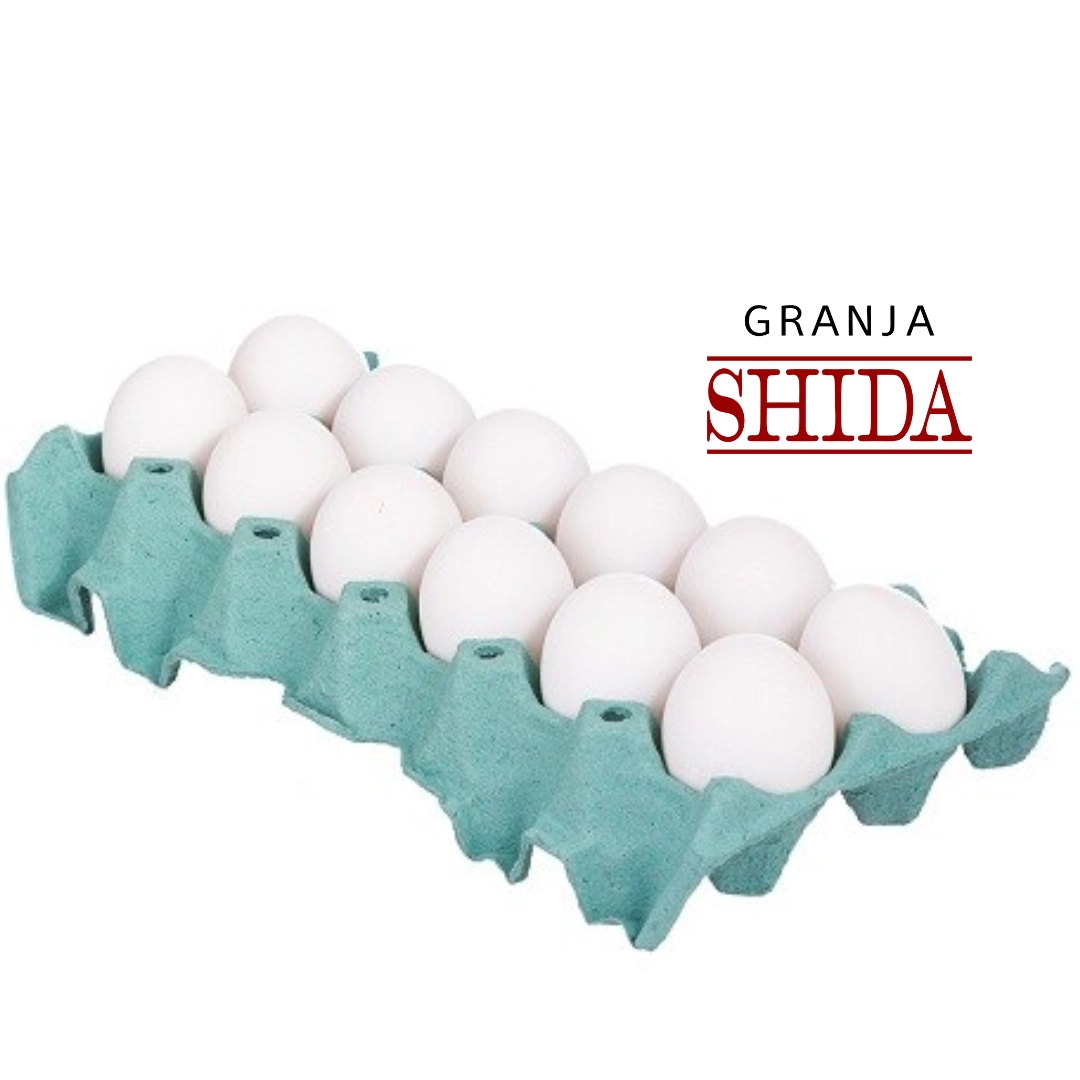 Ovos Gj Shida T Ext