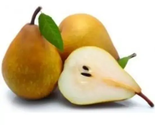 Castanha Portuguesa Cozida Amazon 300g