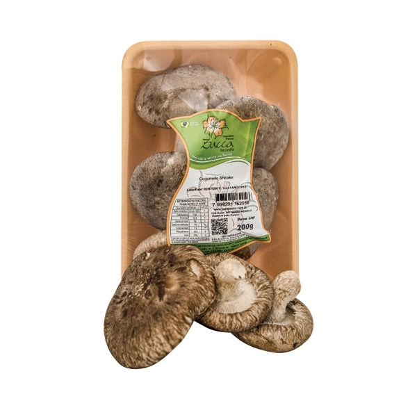 Cogumelo Shitake Funzionale
