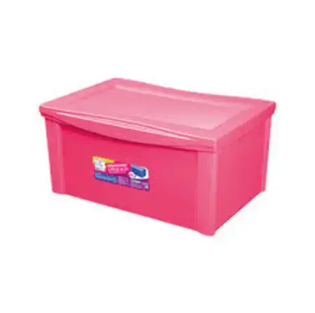 Organizador Ordene Plast Largo Alto Color Pink 65l