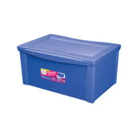 Organizador Ordene Plast Largo Alt Color 65l
