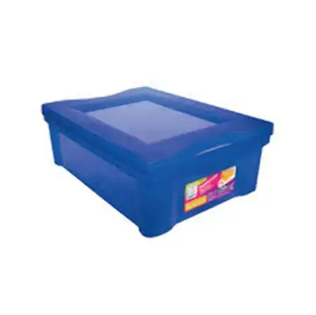 Organizador Ordene Plast Medio Colors Az 13,5l