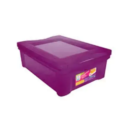 Organizador Ordene Plast Medio Colors Rx 13,5l