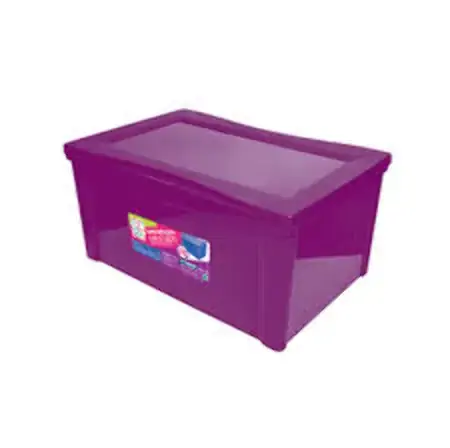 Organizador Ordene Plast Largo Alto Rx 65l