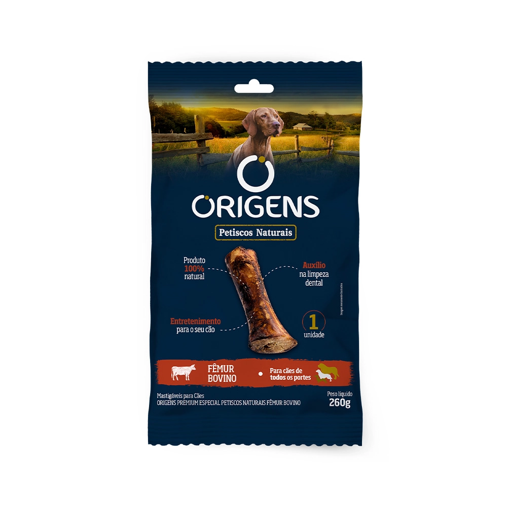 Petisco Natural Origens Fêmur Bovino 260g