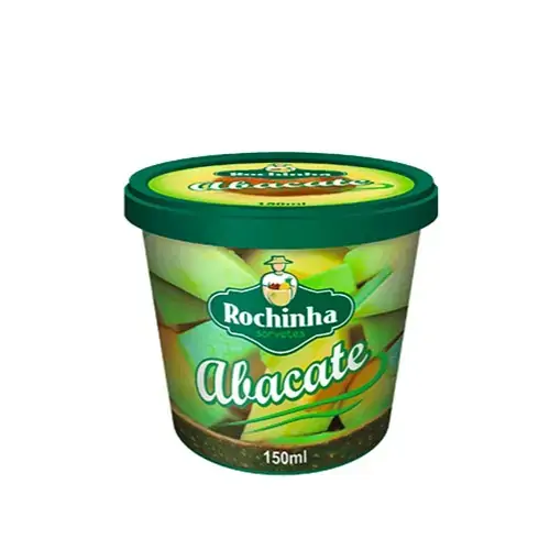 Sorvete Abacate Rochinha Sorvetes Pote 150ml