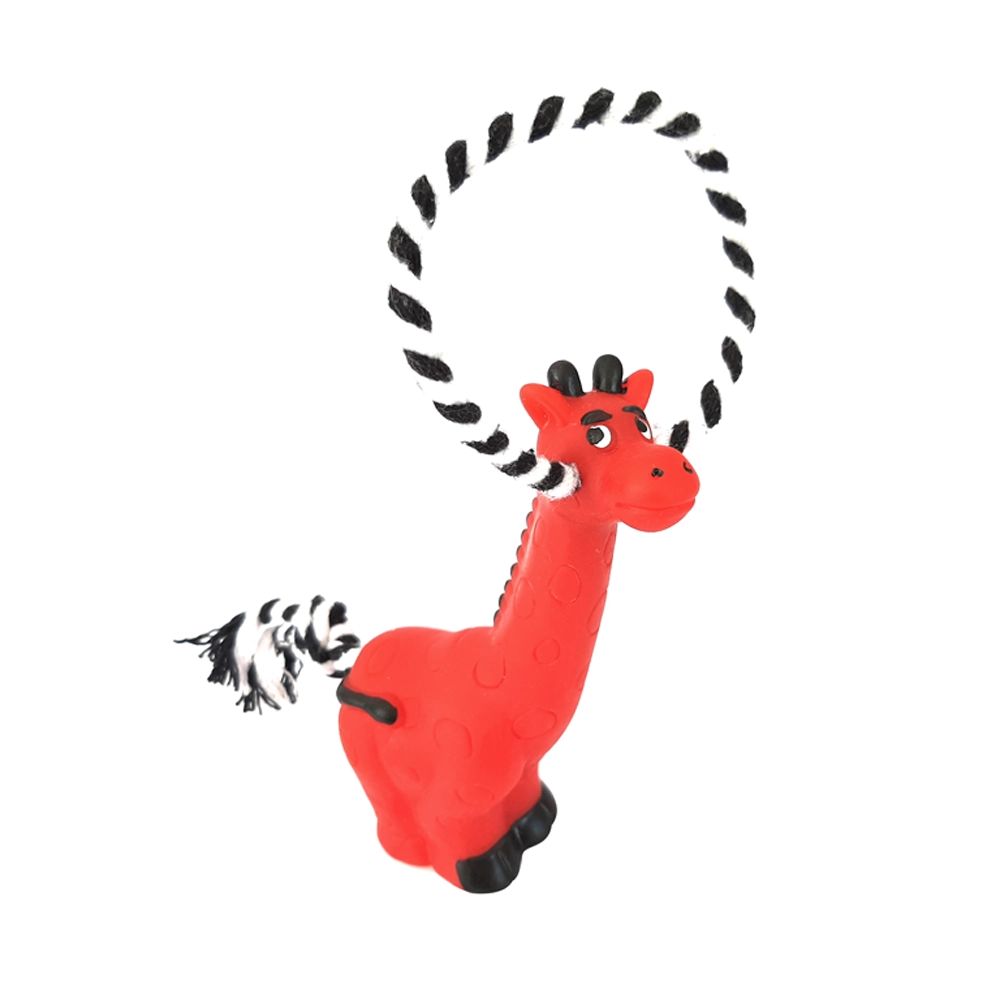Zoo Girafa Com Corda