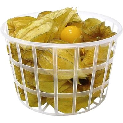 Physalis Berry Good Pt 100 G