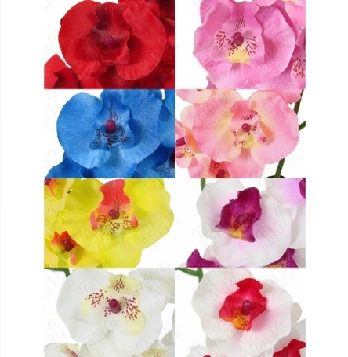 Orquidea Pha. C/folhas X 9 46cm