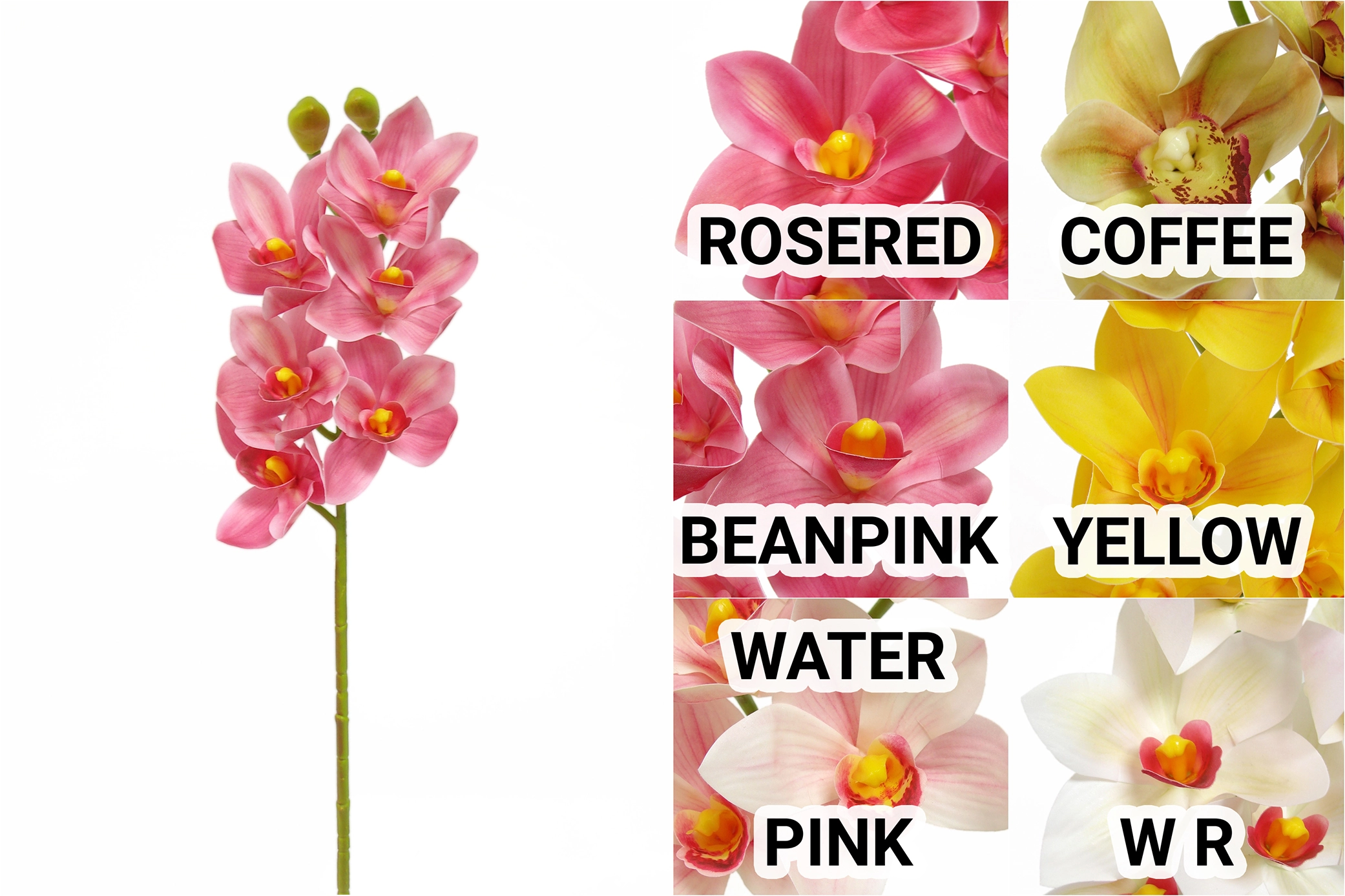 Orquidea Cymbidium 3d X6 68cm 03914 H8