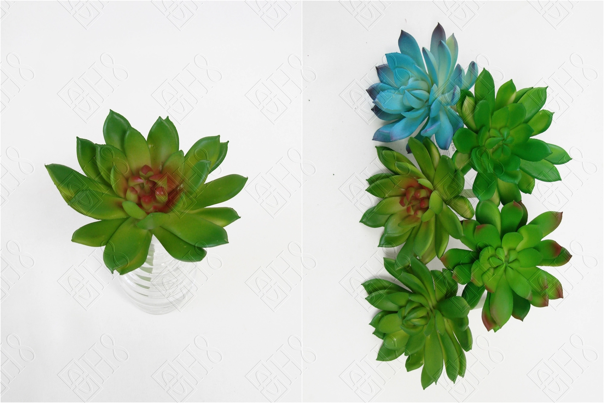 Suculenta 11cm Color Ref:06733