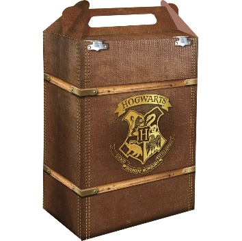Cx Surp Harry Potter C/ 8 Festcolor