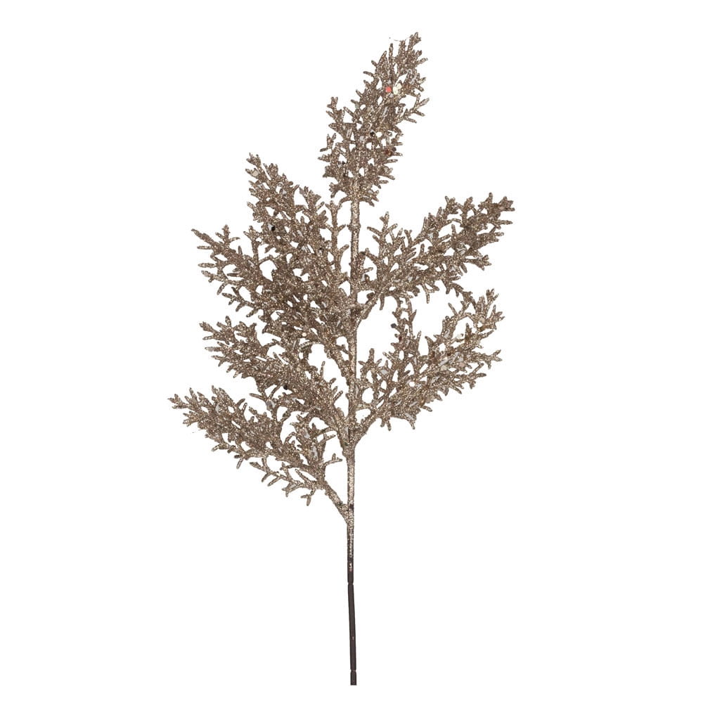 Galho Cromus Folhas Nud 1022889