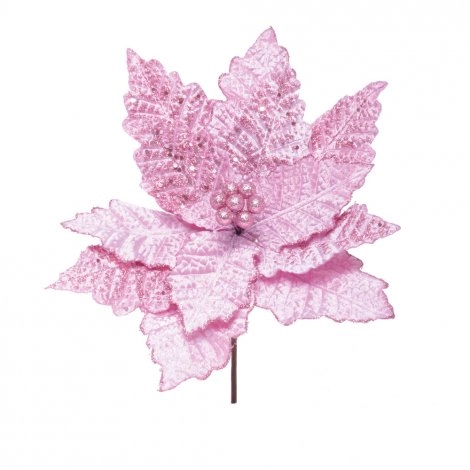 Poinsetia Cromus Lil