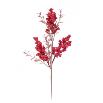 Galho Folhas E Frutas Vm Vd 1024834 Cromus
