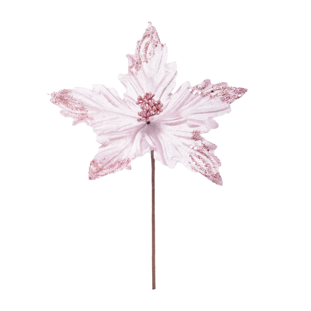 Poinsetia Cromus Ros