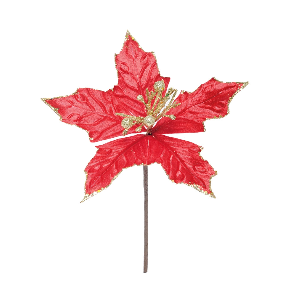 Poinsetia Cromus Vrm/our