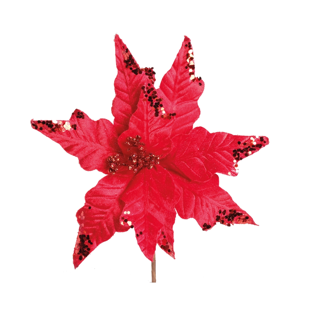 Poinsetia Cromus Vrm Flores Cabo Curto 1920694