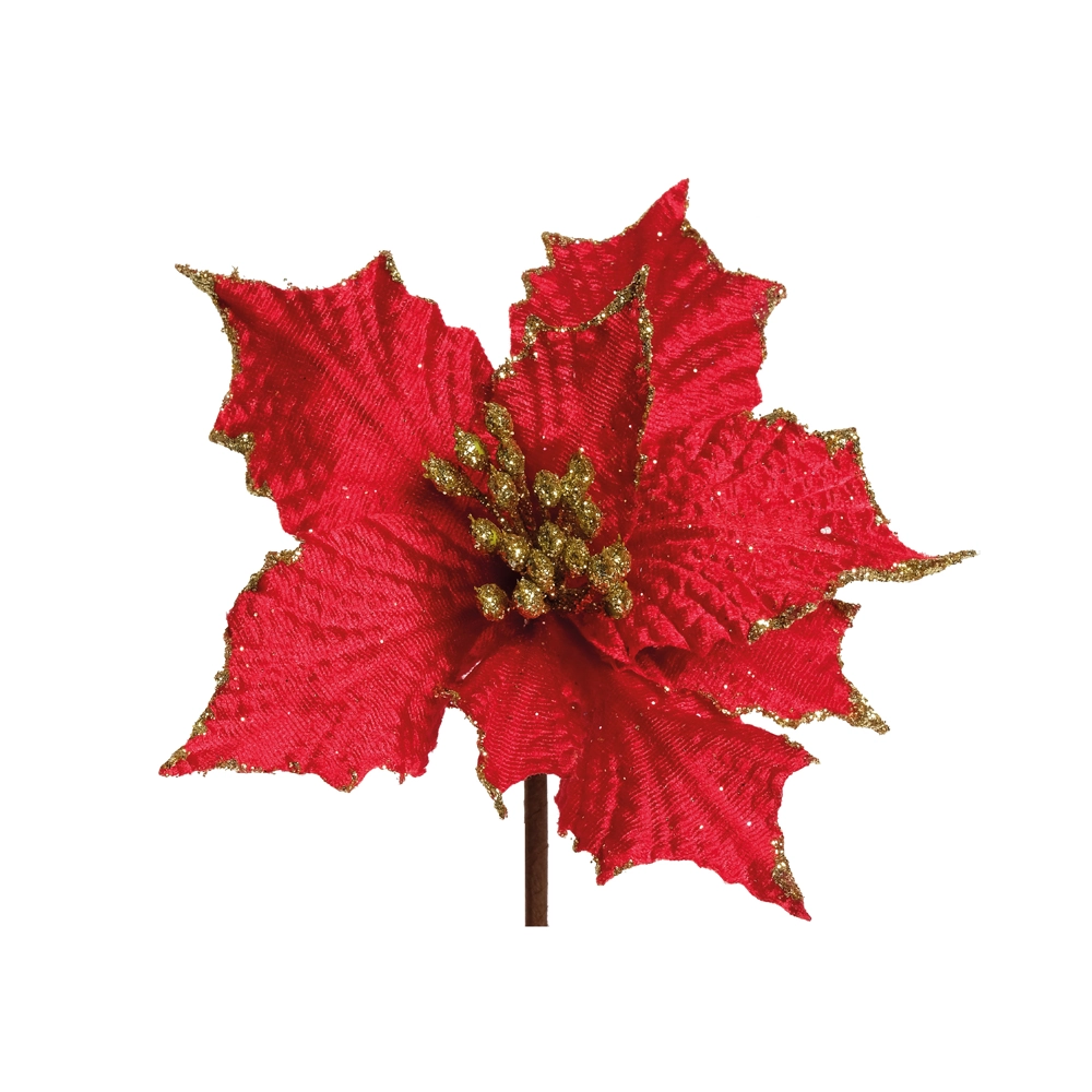 Poinsetia Cromus Vrm/our Flores Cabo Curto C/1 Un