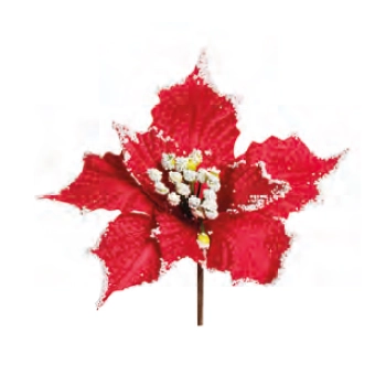 Poinsetia Cromus Vrm/bco Flores Cabo Curto C/1 Un