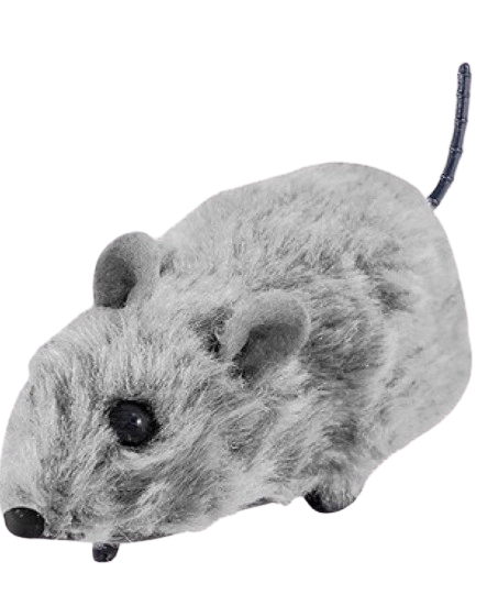 Ratinho A Friccao