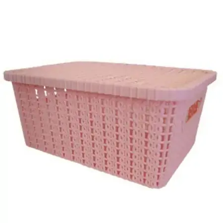 Caixa Plastica 24,5x18x10,5cm 5 Litros