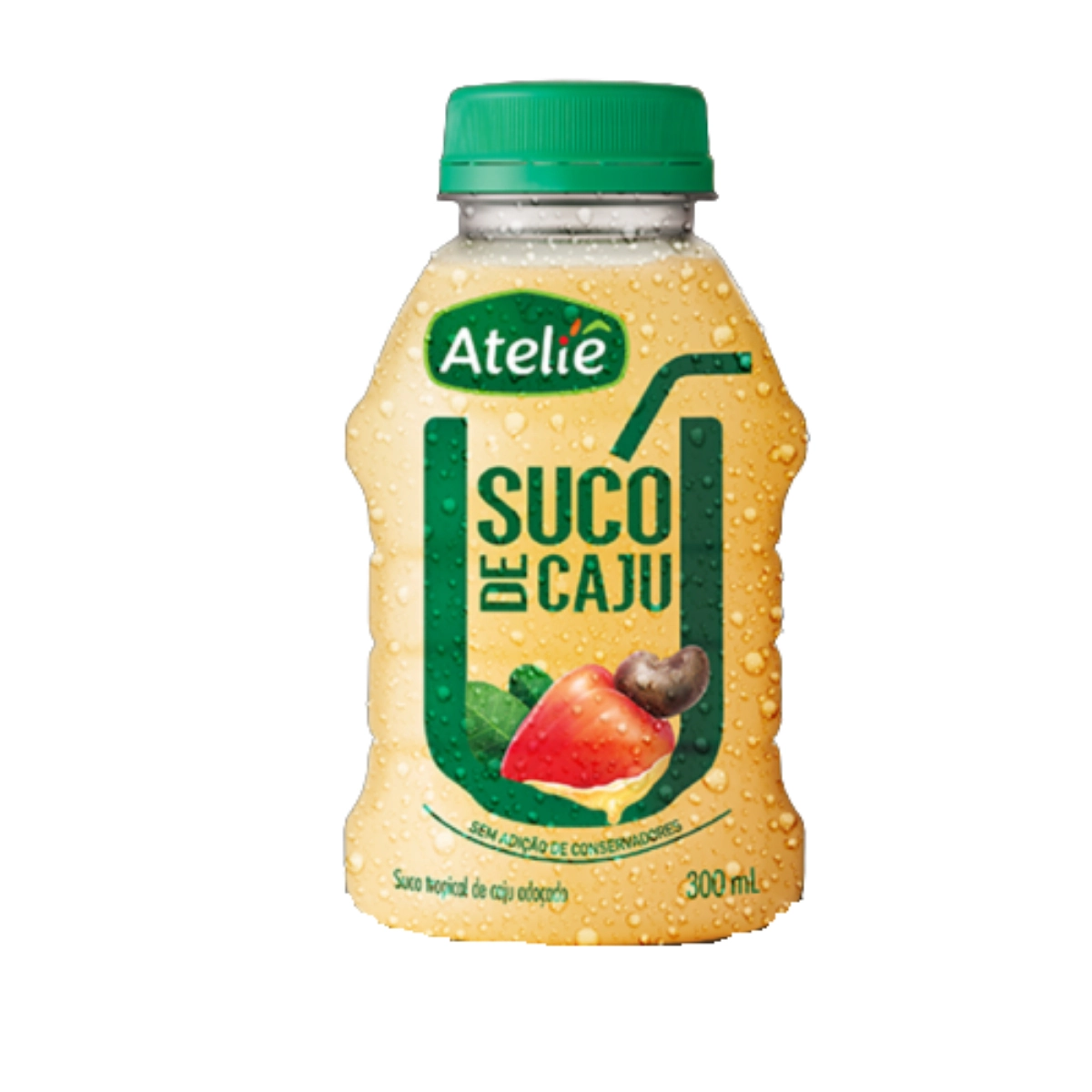 Loja Suco De Caju 300 Ml