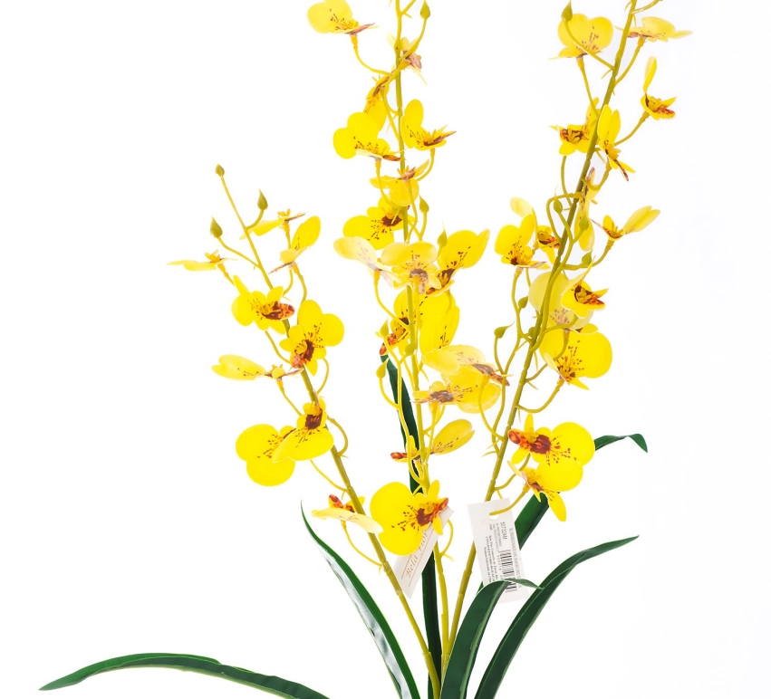 Bq Orquidea Chuva Ou