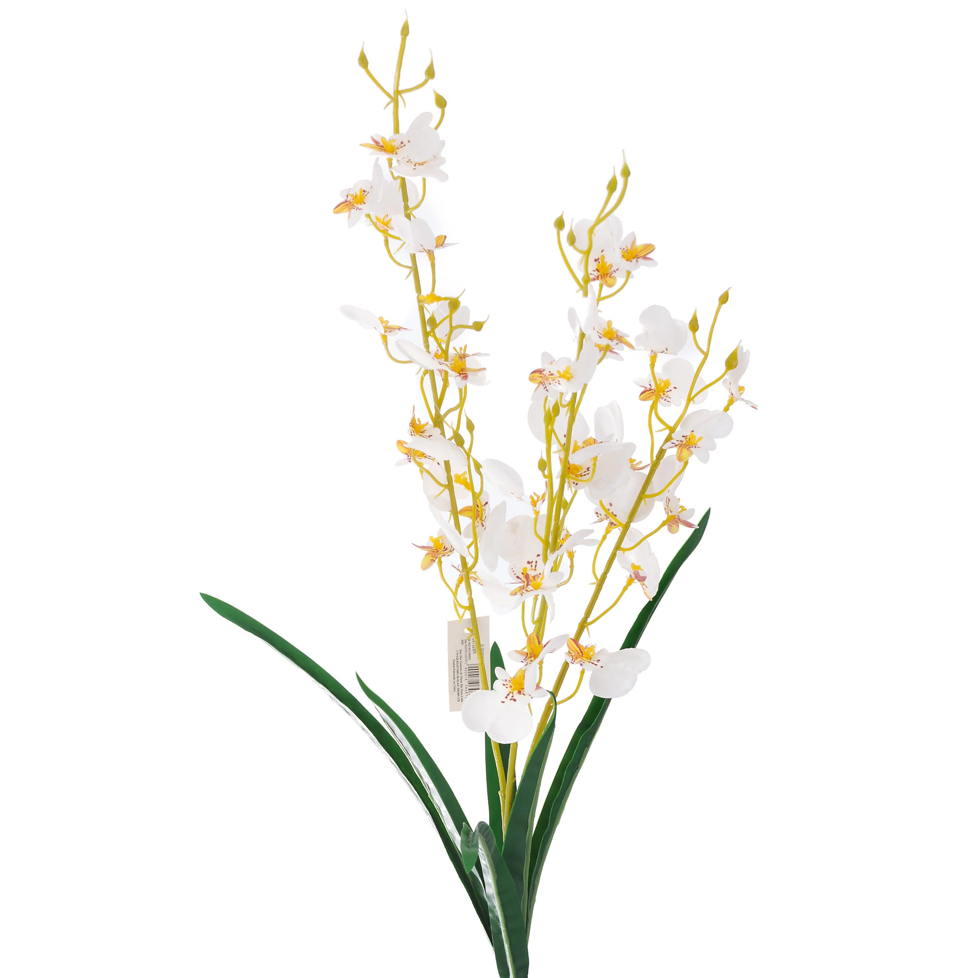Bq Orquidea Chuva Ou