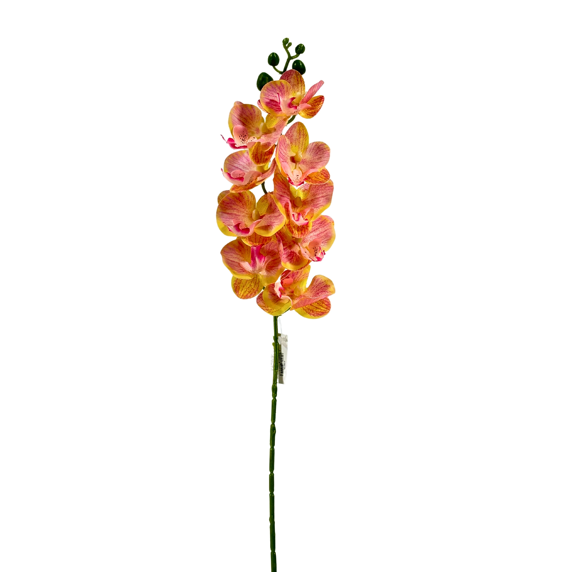 Haste Orquidea Phalaenopsis Salmao 9 Flores 58cm 41967sl Bela Flor