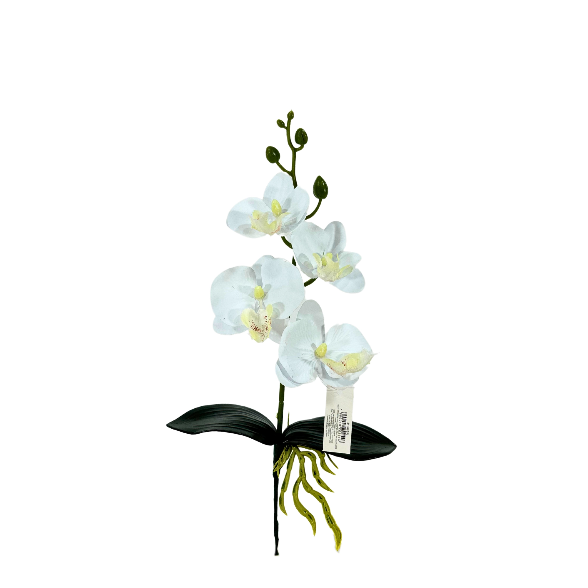 Haste Orquidea Phalaenopsis Raiz X4 39cm 41968br Bela Flor