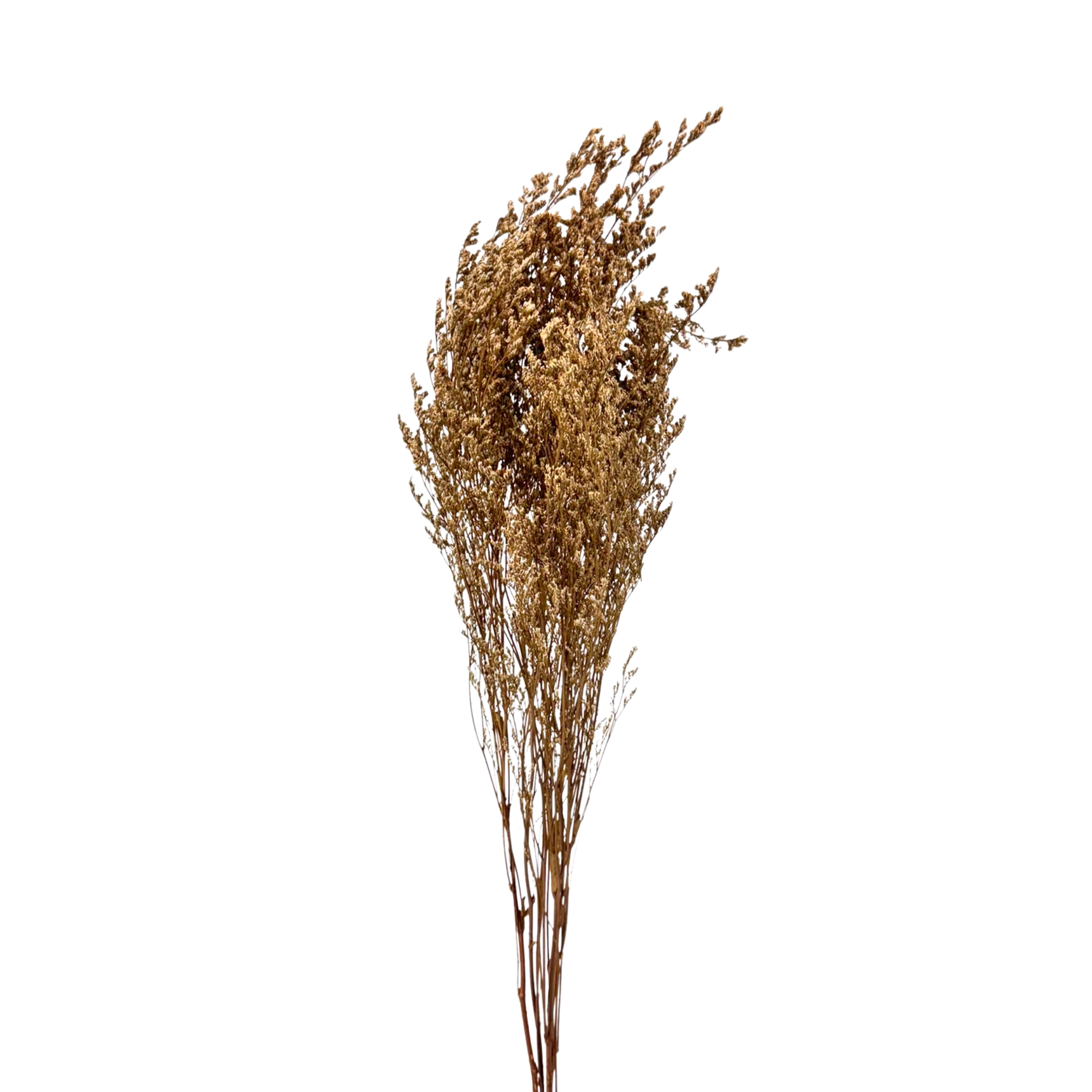 Ramalhete Barba Velho 80cm 42907cf Bela Flor
