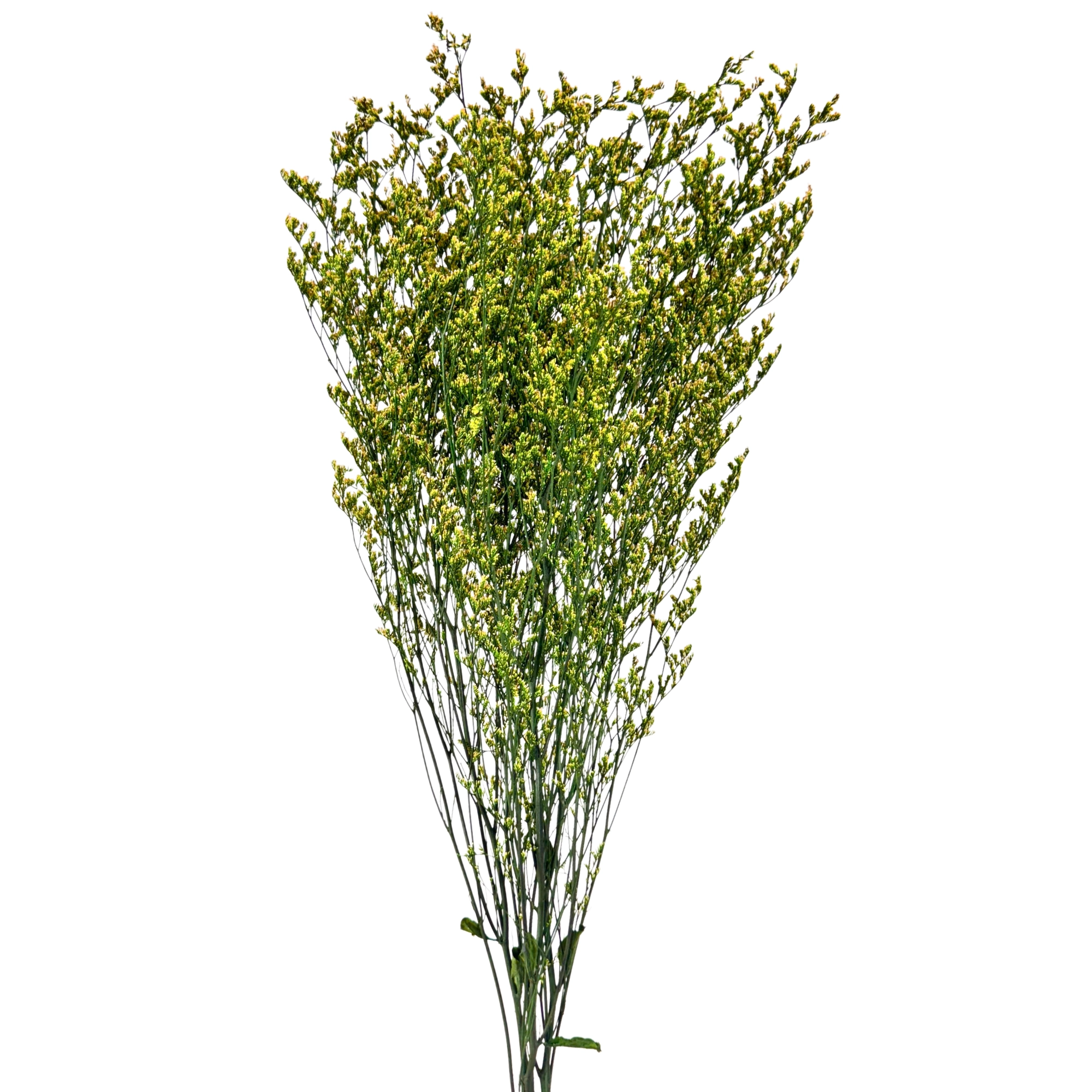 Ramalhete Barba Velho 80cm 42907vd Bela Flor