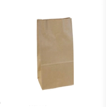 Saco Delivery Kraft Ppl 30x18x12cm C/50