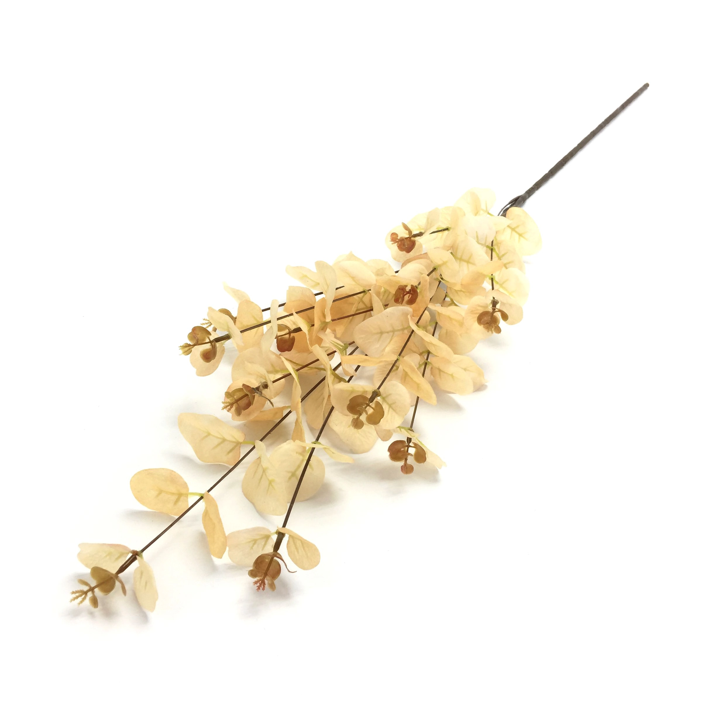 Galho Eucalipto X11 94cm W528 02cr Winmax